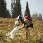 girl hiking with dog